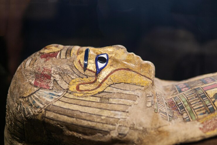 mask of ancient Egyptian mummy in a museum showcase on a dark background