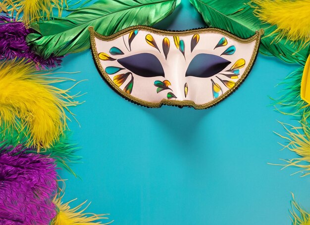 Mask for brazil carnival with feathers