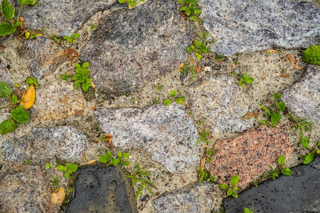 Masonry. Wilderness wall. Castle wall. Sidewalk. stone background