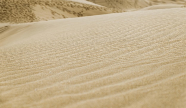 사진 마스팔로마스 카나리아스 제도 스페인 해변의 사하라 사막에서 온 노란색과 황금빛 모래