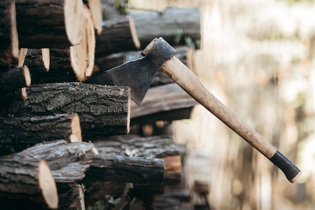 Massive axe stuck in a beech stub