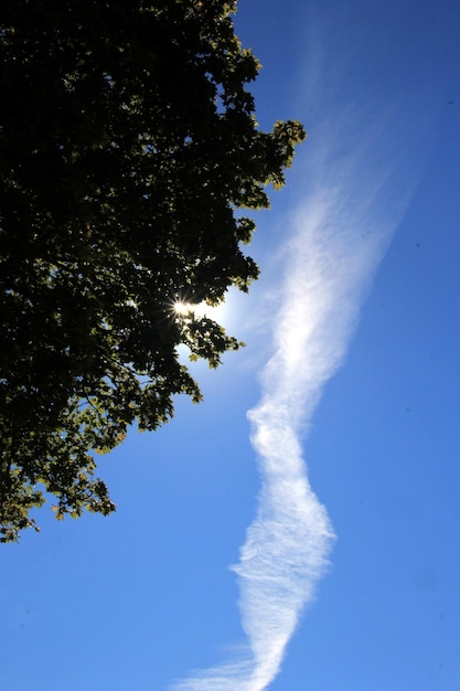 青い空を背景に大規模なケムトレイルまたは飛行機雲