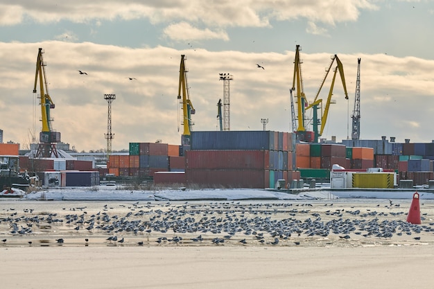 Massive harbor cranes in seaport. Heavy load dockside cranes in port, cargo container yard, container ship terminal. Business and commerce, logistics. Winter industrial scene.