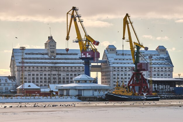 Massive harbor cranes in seaport. Heavy load dockside cranes in port, cargo container yard, container ship terminal. Business and commerce, logistics. Winter industrial scene.