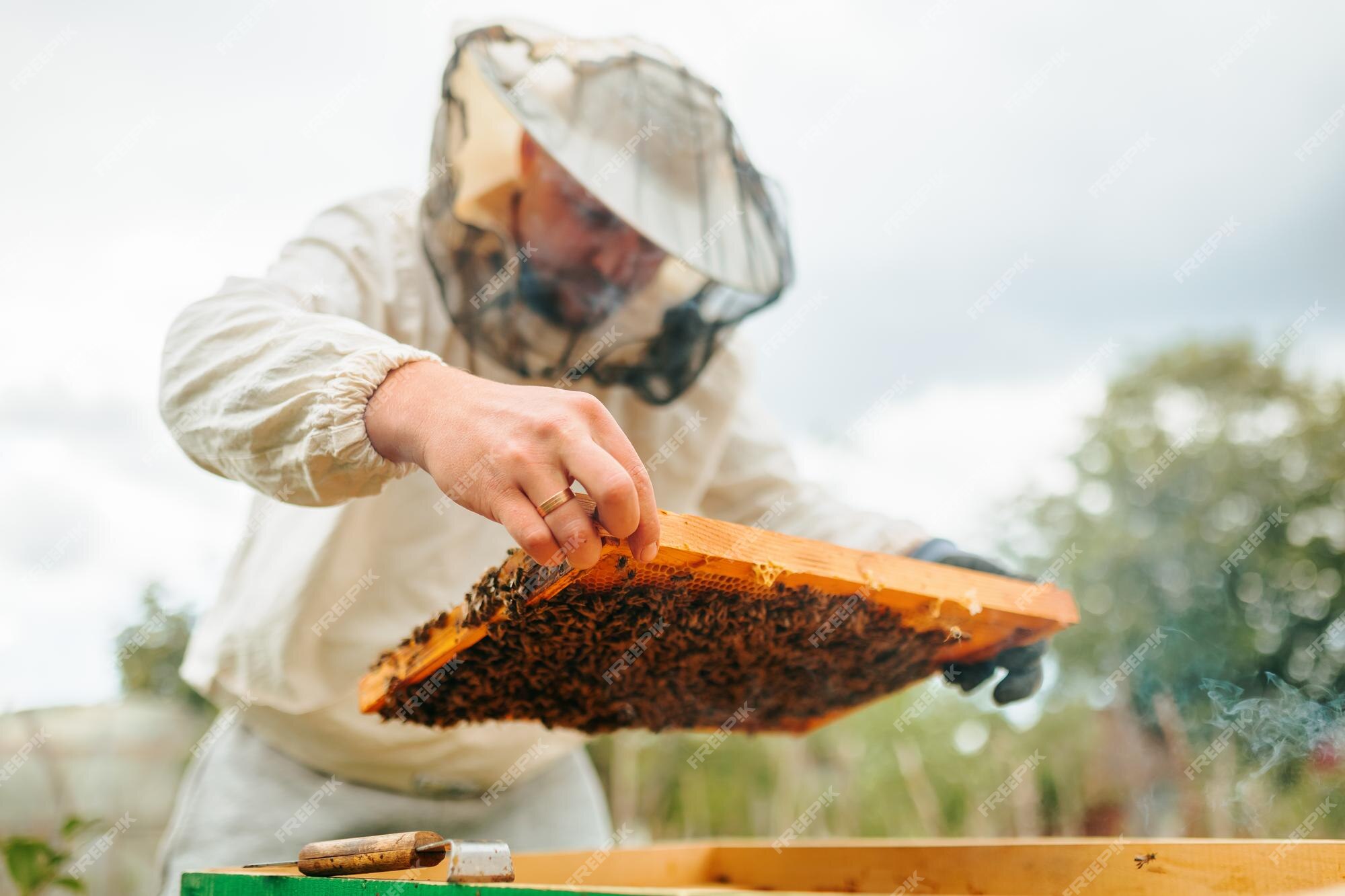 Beekeepers In White Protective Suit Holding Bees And Beeswax In