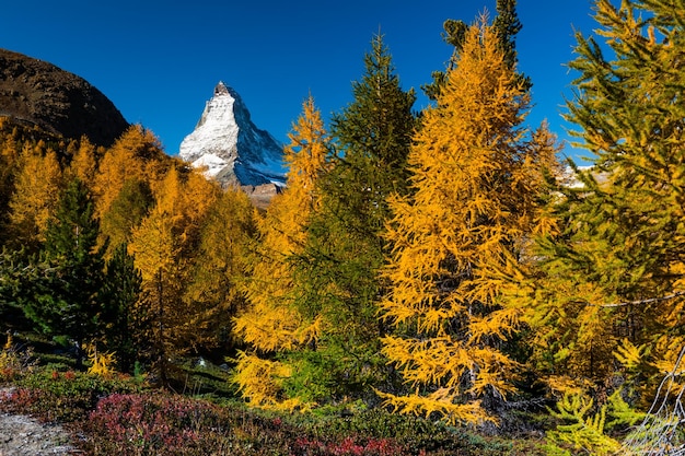 스위스 체르마트의 가을 마터호른 아름다운 산 풍경