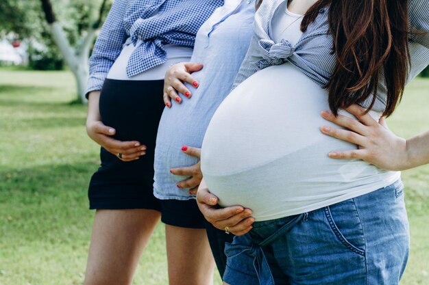 Maternity concept portrait of three happy pregnant women