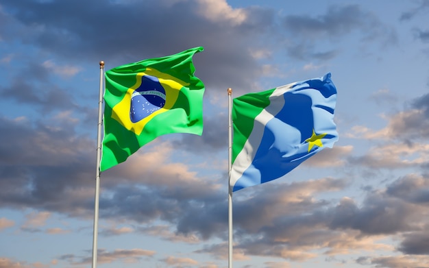 Mato Grosso do Sul Vlag van Brazilië. 3D-illustraties