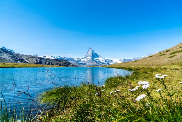 Matterhorn met meer Stellisee in Zermatt