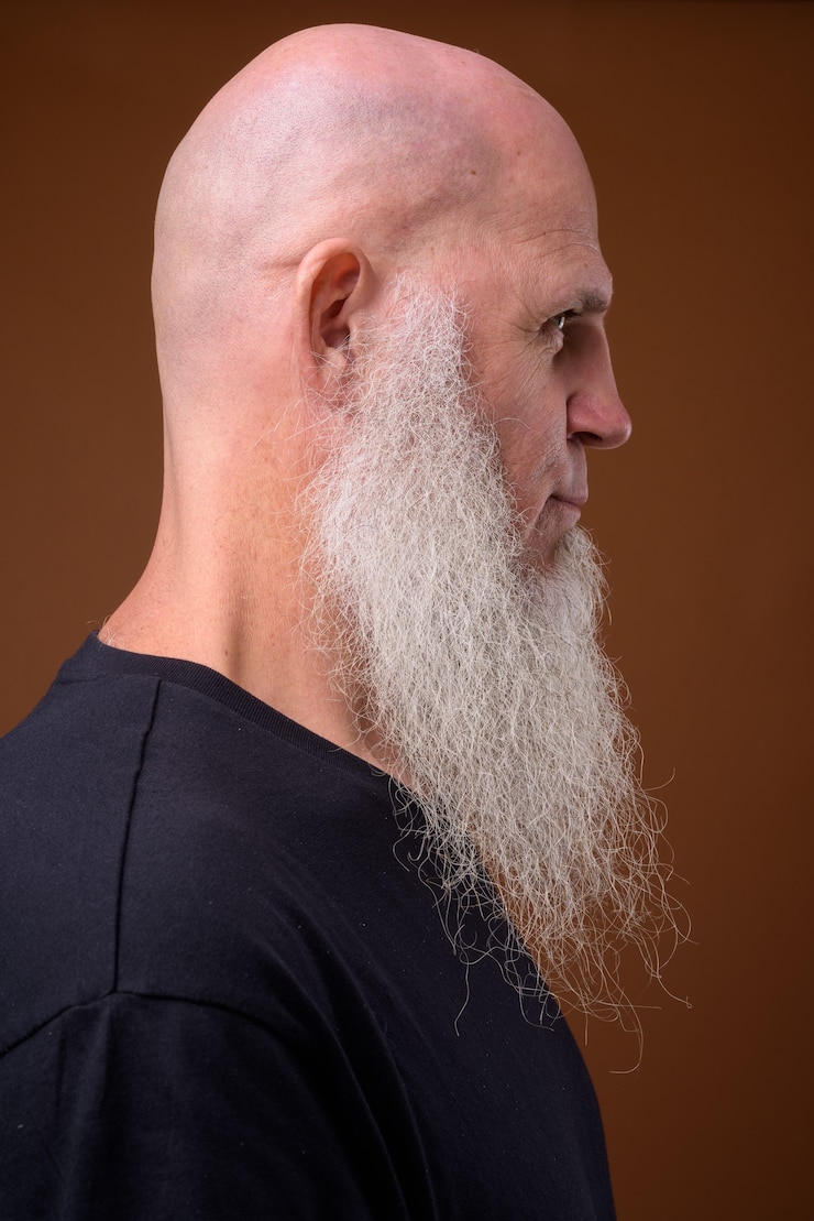 Photo mature bald man with long gray beard on brown
