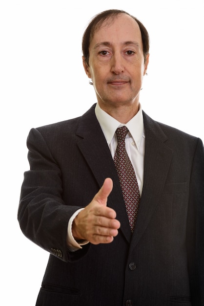  mature businessman giving handshake