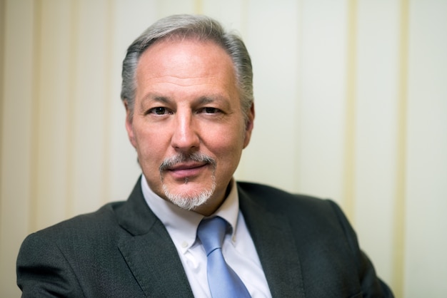 Mature businessman portrait in his office