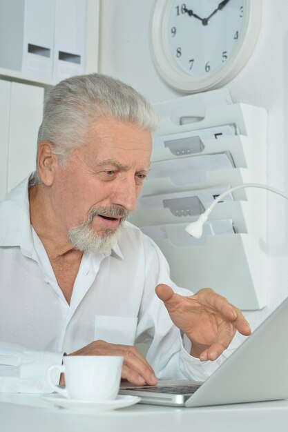 Mature businessman working with laptop in office