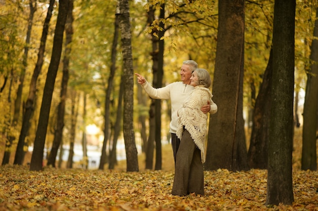 Mature couple walking in the autumn park