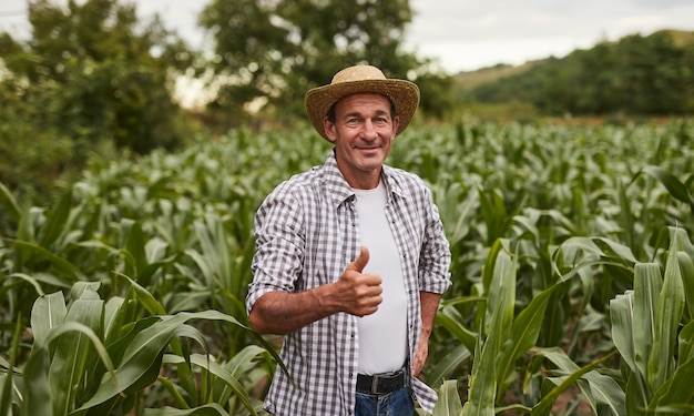 Agricoltore maturo che gesturing pollice in su nel campo di grano