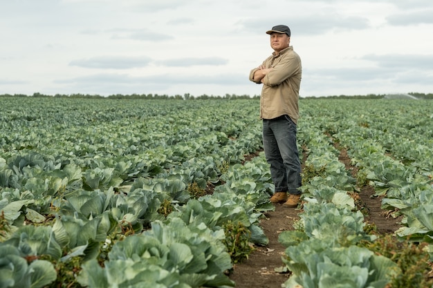 Mature farmer standing in aisle between growing cabbages