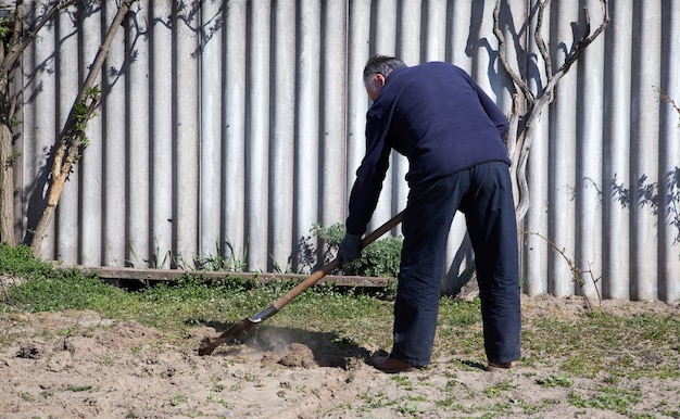 成熟した庭師はシャベルで土を掘っています