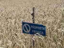 Photo mature grain wheat field ready to harvest private proprety sign