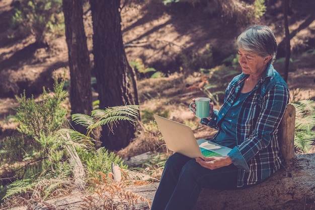 Signora matura usa il computer portatile seduto nel bosco e bevendo tè sano avendo tempo di relax - persone anziane attive nel tempo libero attività all'aperto nel parco forestale - turista che utilizza la connessione wireless