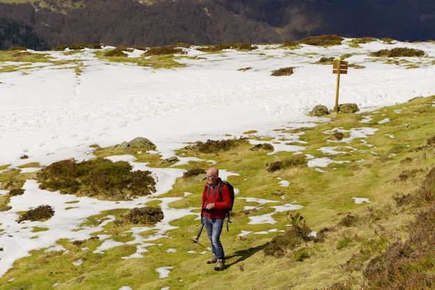 Viandante matura dell'uomo con lo zaino in montagna