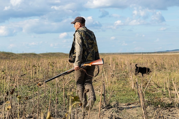 Mature man hunter with gun while walking on field with your dogs