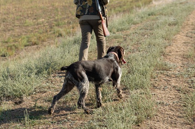 写真 犬とフィールドを歩いている間に銃を持った成熟した男のハンター