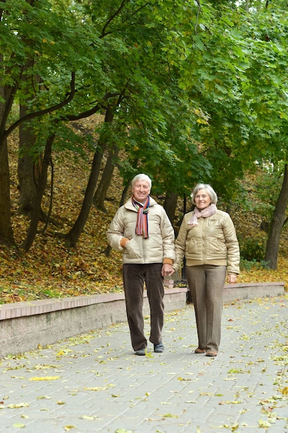 Mature married couple having fun on fresh air in autumn