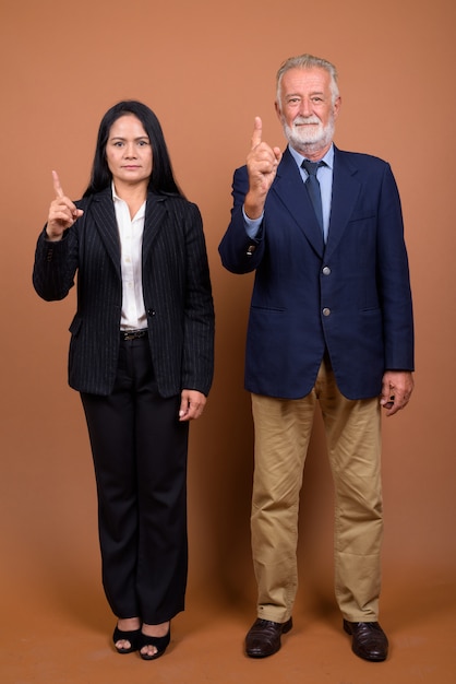 Mature multi-ethnic business couple on brown