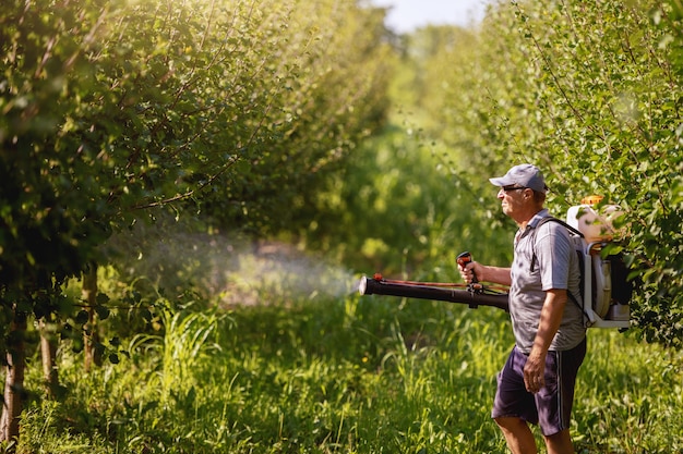 Contadino maturo in abiti da lavoro, cappello e con una moderna macchina a spruzzo di pesticidi sulle spalle che spruzzano insetti nel frutteto.