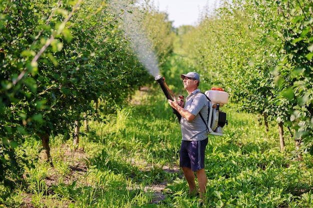 mature peasant in working clothes, hat and with modern pesticide spray machine on backs spraying bugs in orchard.