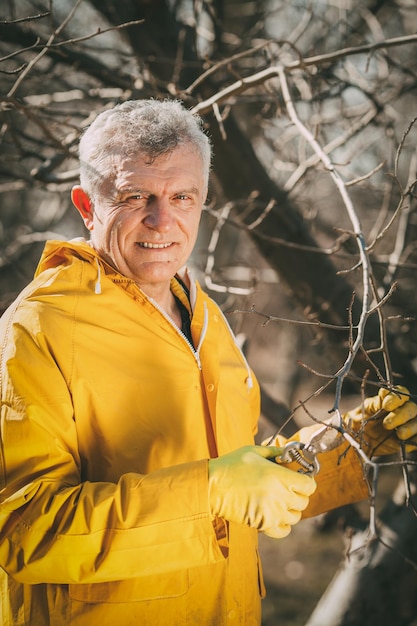 Mature smiling man pruning tree in the orchard before winter. Looking at camera.