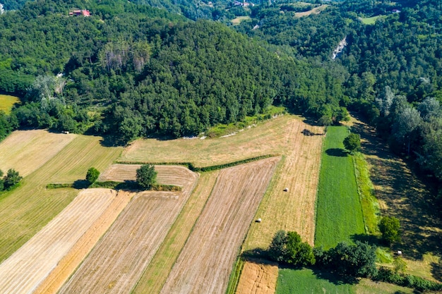 Mature wheat farmed fields aerial drone panorama