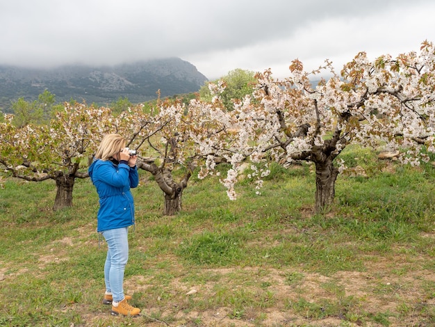 Mature woman photographing trees in landscape of fields with cherry trees in flowering season