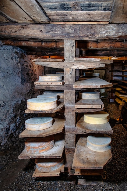 Maturing of local alpine cow's milk cheeses