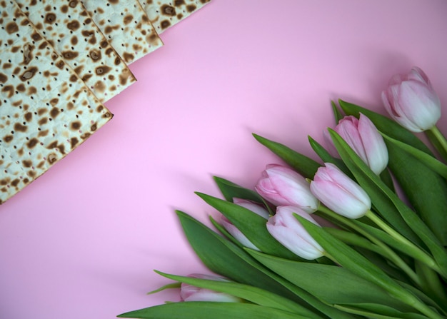 Matzah en Pink Fresh Spring Tulips