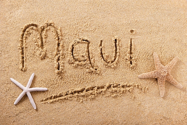 Segno della sabbia della spiaggia di maui