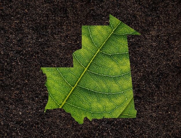 Mauritania map made of green leaves on soil background ecology concept