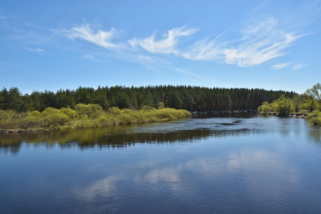 May morning at the forest river