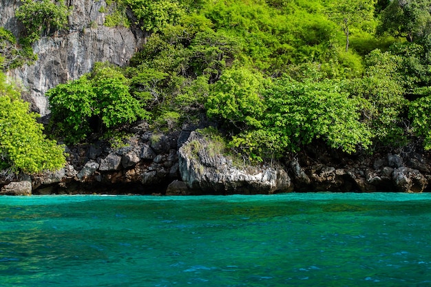 Maya baai Phi Phi Leh eiland, Krabi Thailand