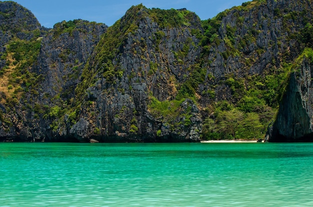 마야 만 (Maya Bay) - 태국 피피 섬 (Phi Phi Island) 의 아름다운 해변.