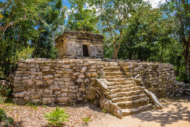 Maya-ruïnes in de schaduw van bomen in tropisch oerwoud Playa del Carmen Riviera Maya Yu atan Mexico