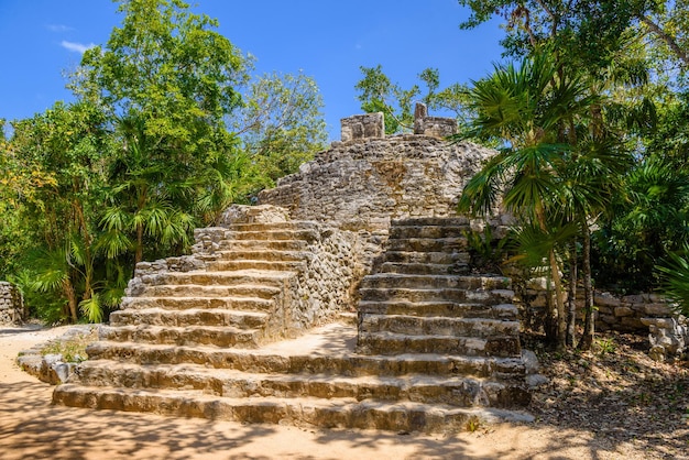 Maya-ruïnes in de schaduw van bomen in tropisch oerwoud Playa del Carmen Riviera Maya Yu atan Mexico