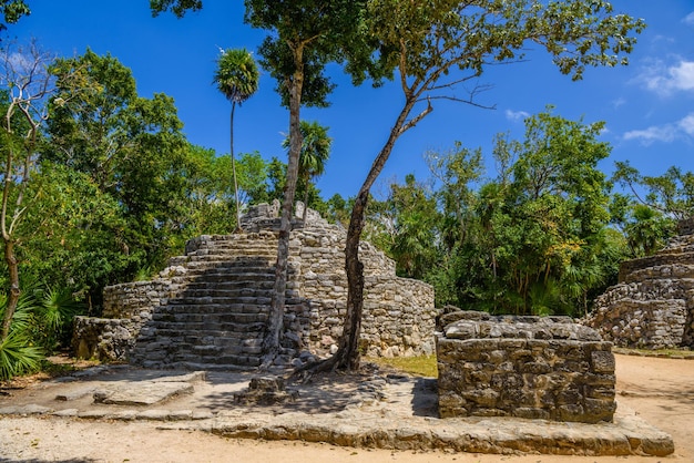 Maya-ruïnes in de schaduw van bomen in tropisch oerwoud Playa del Carmen Riviera Maya Yu atan Mexico