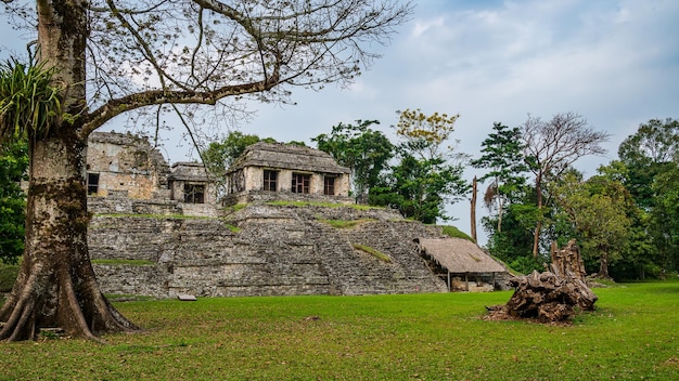 Maya-ruïnes in palenque