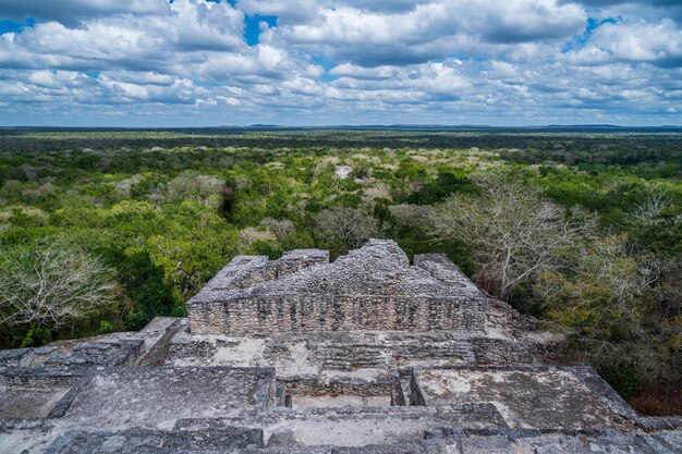 Photo maya ruins in the jungle