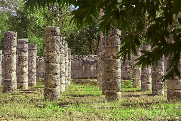 Colonne maya e vegetazione tropicale