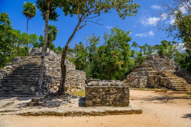 Mayan ruins in shadow of trees in jungle tropical forest Playa del Carmen Riviera Maya Yu atan Mexico