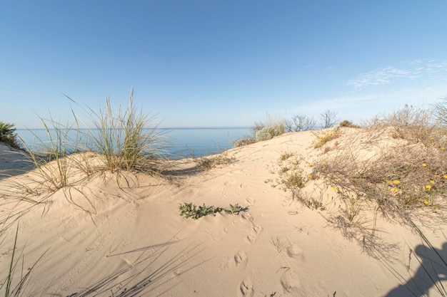 Mazagon beach in the province of Huelva Spain One of the most beautiful beaches in Spain