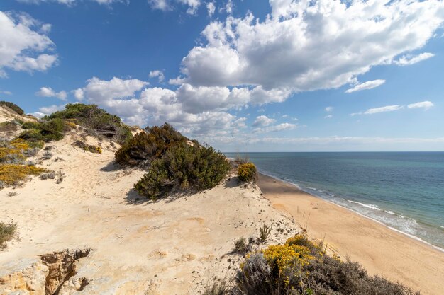 Spiaggia di mazagon nella provincia di huelva spagna una delle spiagge più belle della spagna