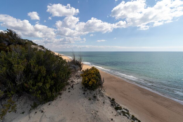 Mazagon beach in the province of Huelva Spain One of the most beautiful beaches in Spain